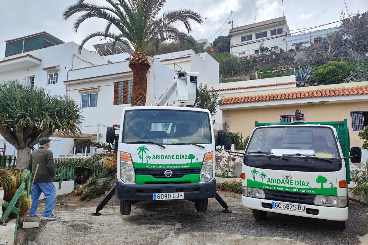 Imagen que muestra 2 coches pertenecientes a Aridane Díaz
